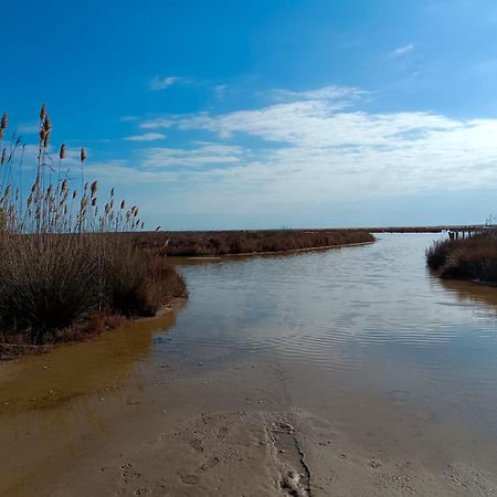 Rincon Del Delta, Apartamento En El Delta Del Ebro, Playa Trabucador Amposta, Tarragona L'Eucaliptus Bagian luar foto