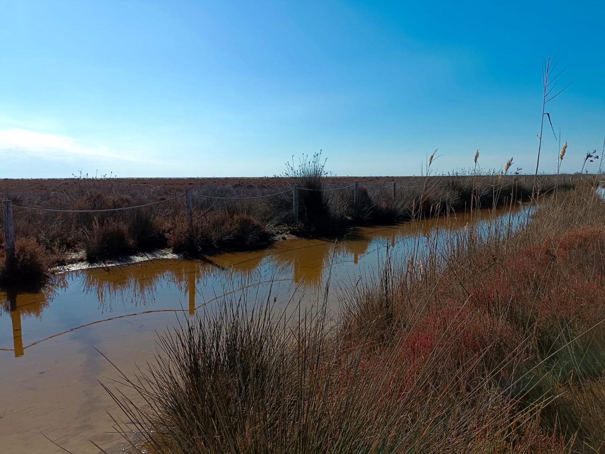 Rincon Del Delta, Apartamento En El Delta Del Ebro, Playa Trabucador Amposta, Tarragona L'Eucaliptus Bagian luar foto